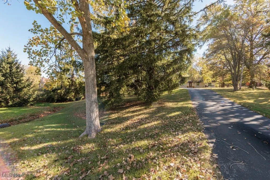 View of asphalt driveway featuring view of wooded area