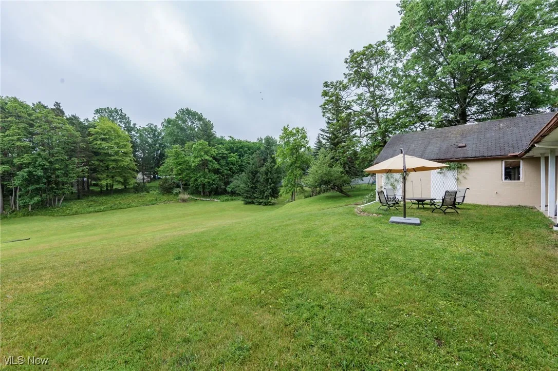 View of grassy yard