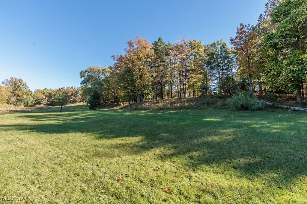View of green lawn with view of wooded area