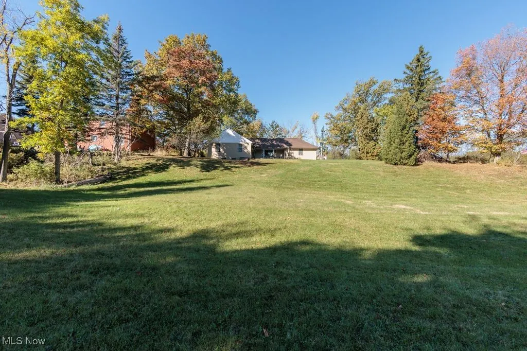 View of green lawn