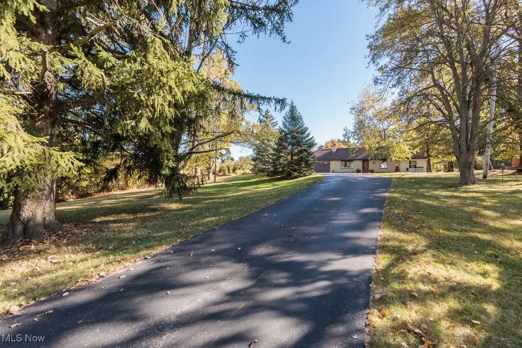 View of asphalt driveway
