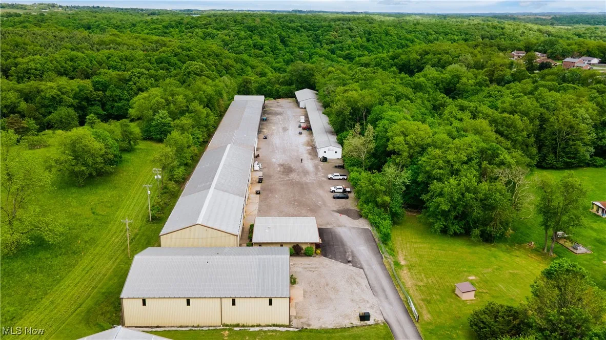 Aerial view of a forest