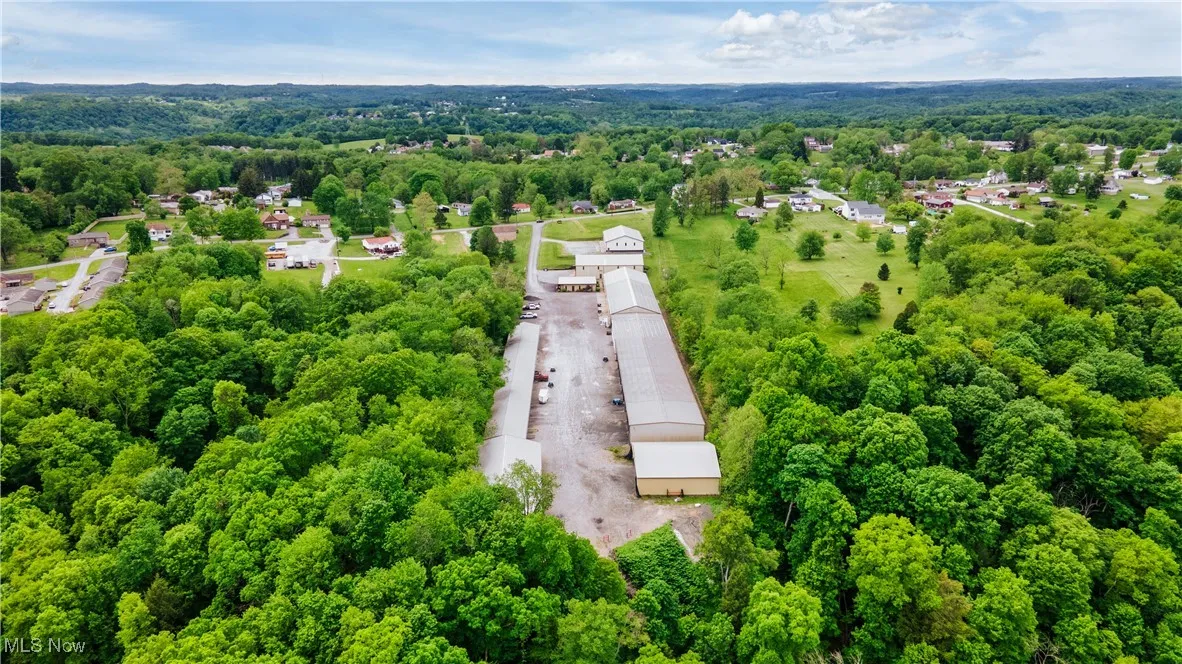 Aerial view of a forest