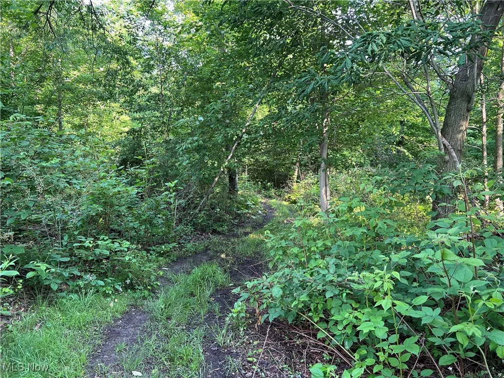 Orchard Street, Andover, Ohio,MLS Now Listing ID