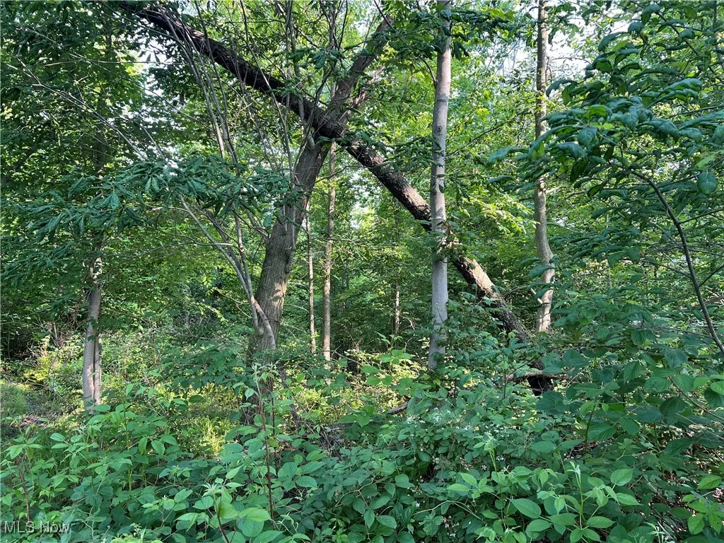 Orchard Street, Andover, Ohio,MLS Now Listing ID
