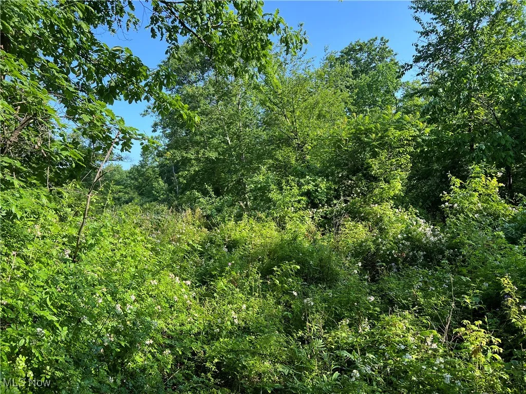 Orchard Street, Andover, Ohio,MLS Now Listing ID