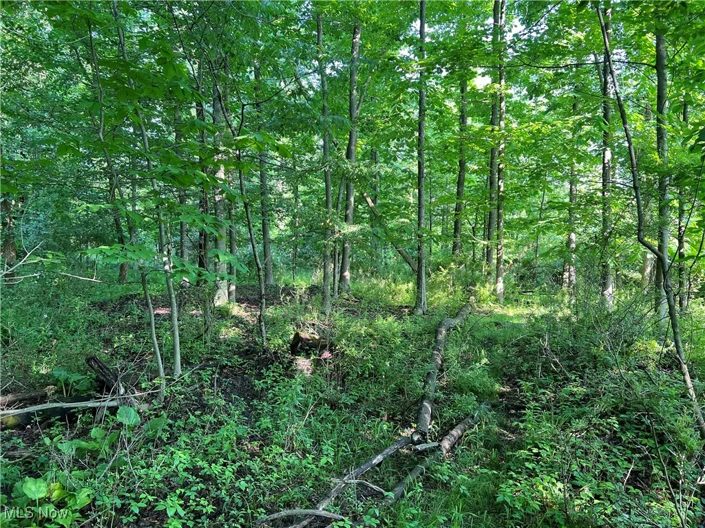 Orchard Street, Andover, Ohio,MLS Now Listing ID
