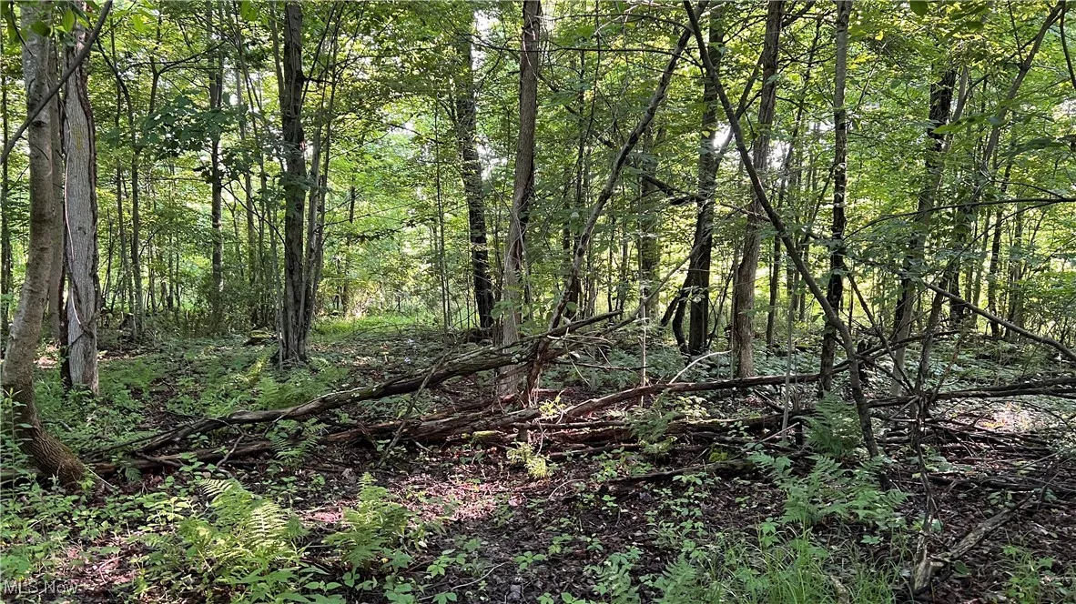 Orchard Street, Andover, Ohio,MLS Now Listing ID