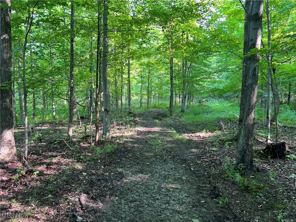 Orchard Street, Andover, Ohio,MLS Now Listing ID