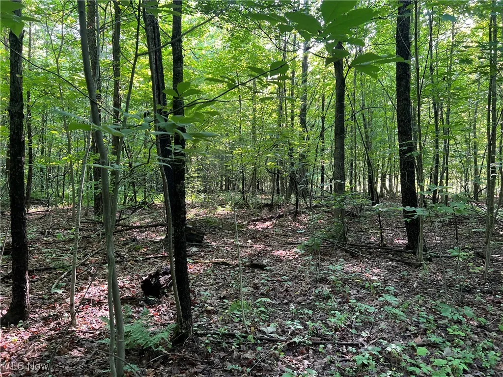 Orchard Street, Andover, Ohio,MLS Now Listing ID
