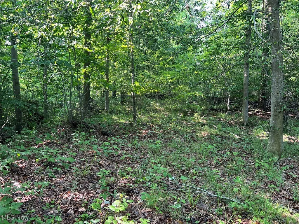 Orchard Street, Andover, Ohio,MLS Now Listing ID