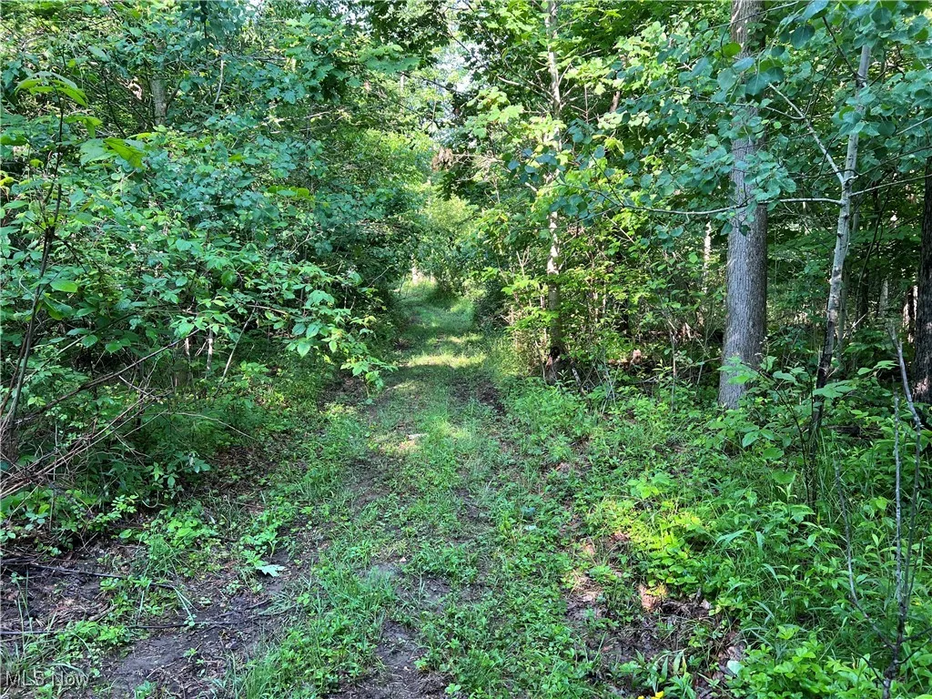 Orchard Street, Andover, Ohio,MLS Now Listing ID