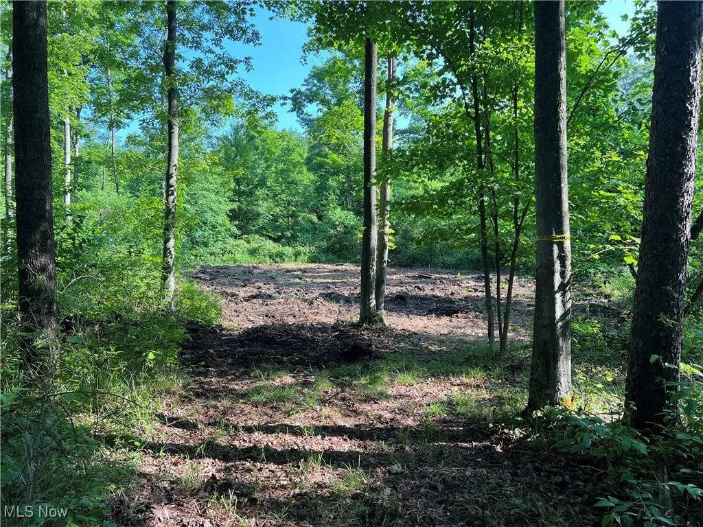 Orchard Street, Andover, Ohio,MLS Now Listing ID