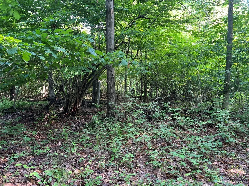 Orchard Street, Andover, Ohio,MLS Now Listing ID