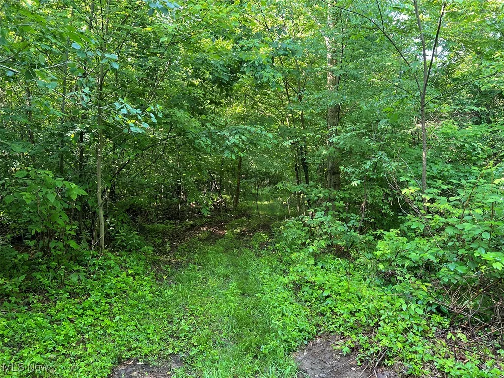 Orchard Street, Andover, Ohio,MLS Now Listing ID