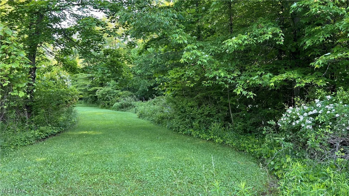 Orchard Street, Andover, Ohio,MLS Now Listing ID