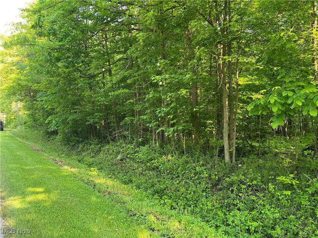Orchard Street, Andover, Ohio,MLS Now Listing ID