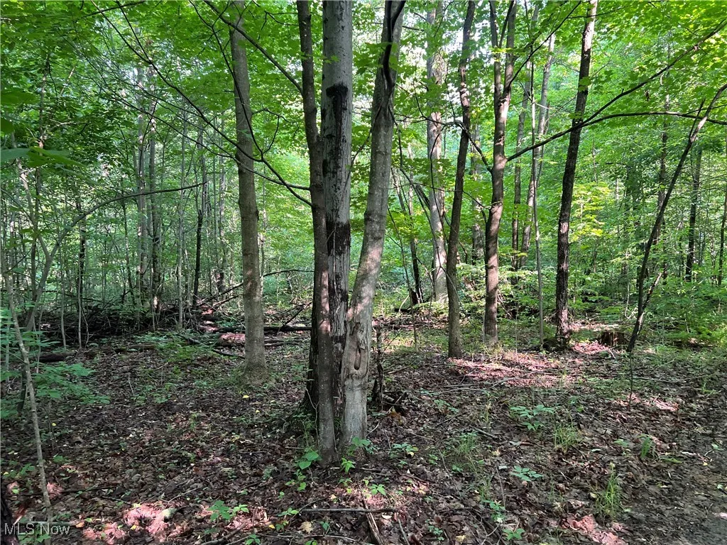 Orchard Street, Andover, Ohio,MLS Now Listing ID