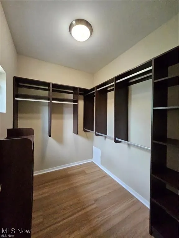 Walk in closet with wood finished floors