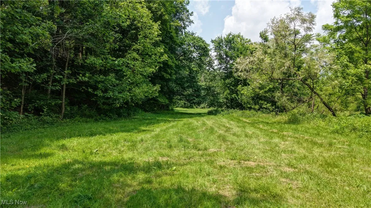 View of yard with a view of trees