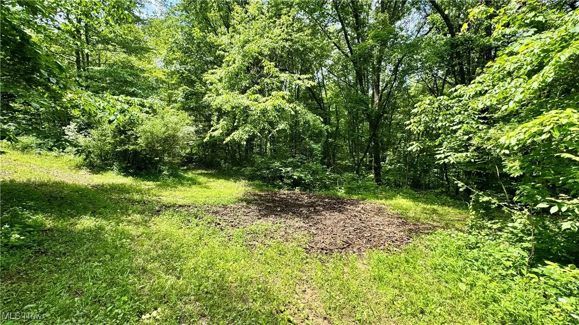 View of wooded area