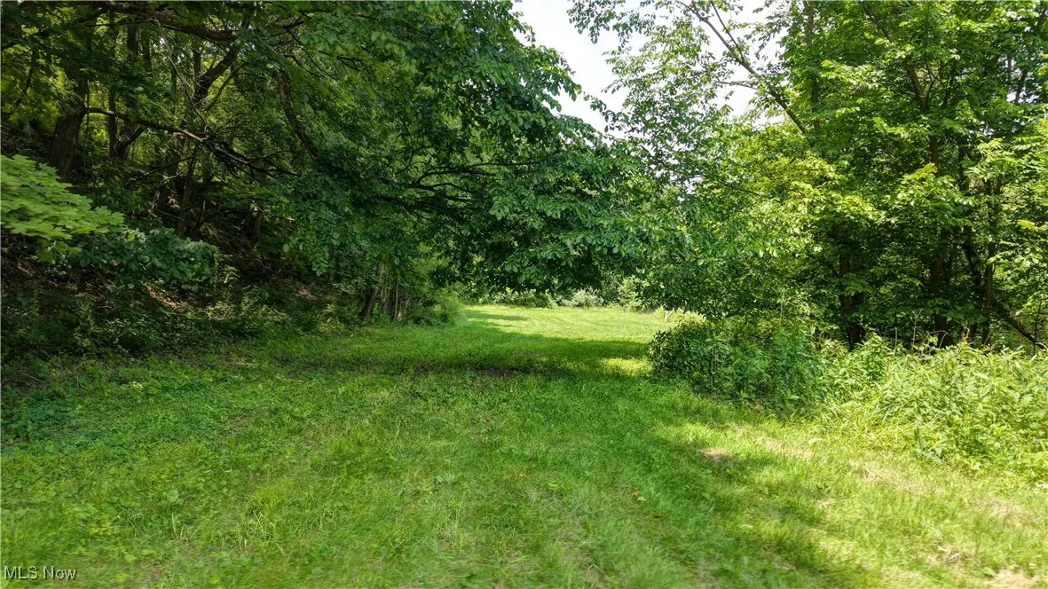 View of yard with a forest view