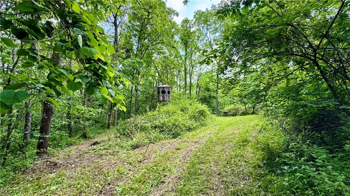 View of yard featuring a forest view