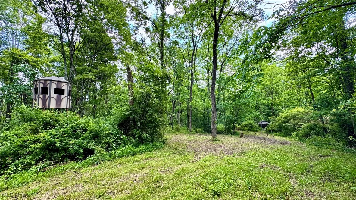 View of yard with a wooded view