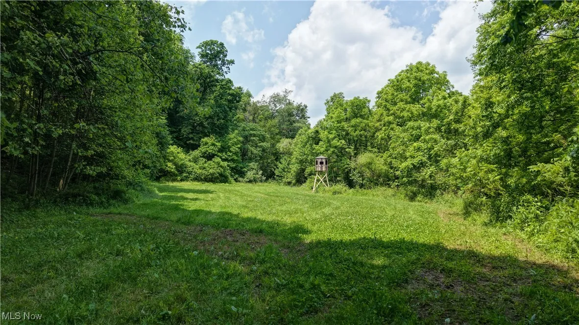 View of green lawn with a wooded view