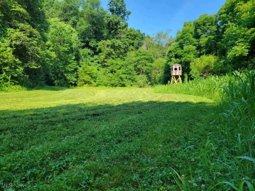 View of green lawn with a wooded view