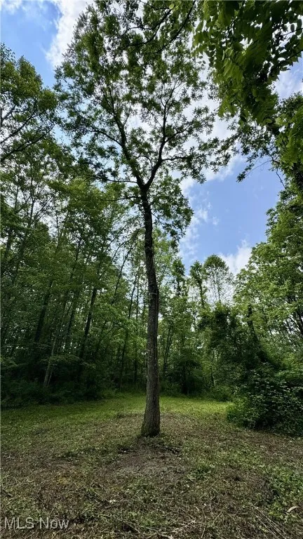 View of nature