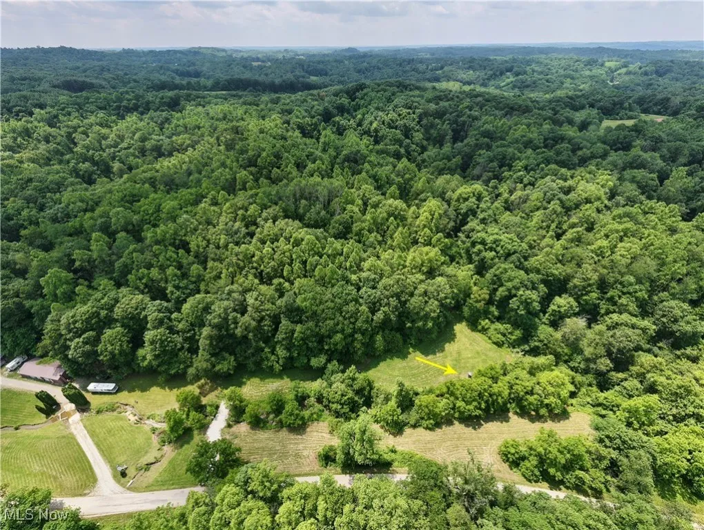 Drone / aerial view of a heavily wooded area