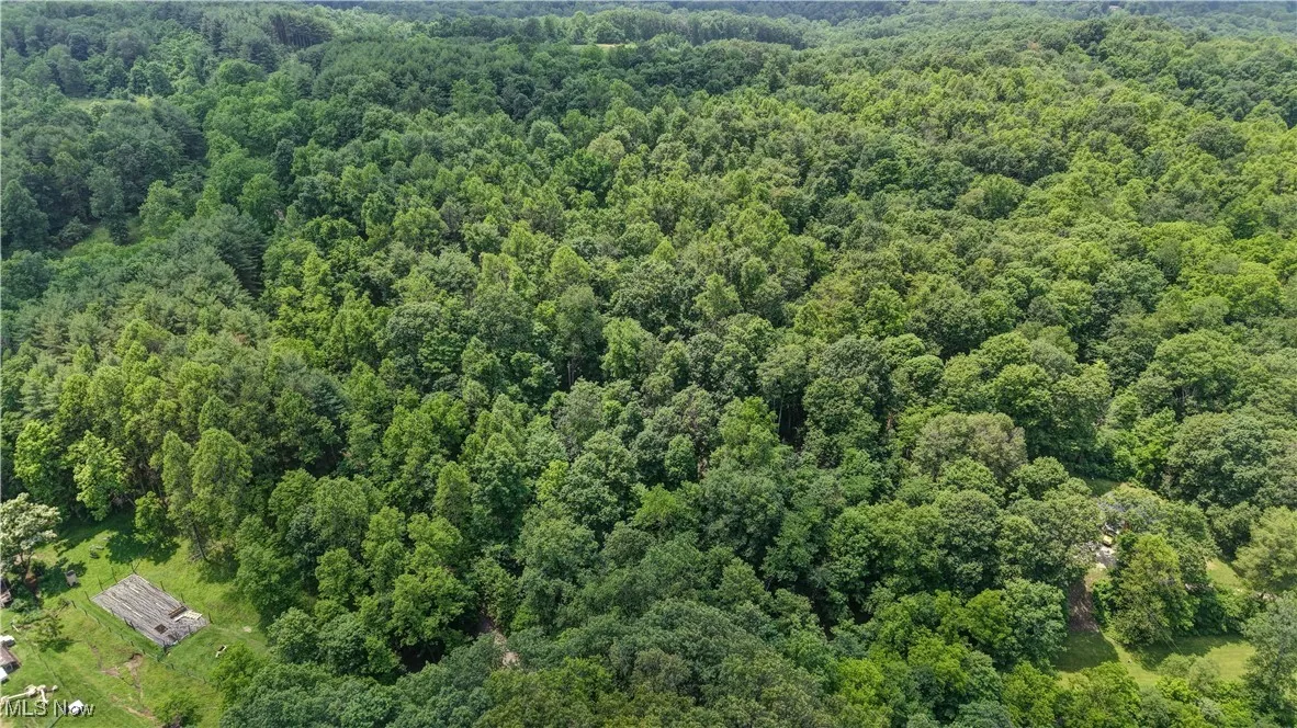 Bird's eye view of a heavily wooded area