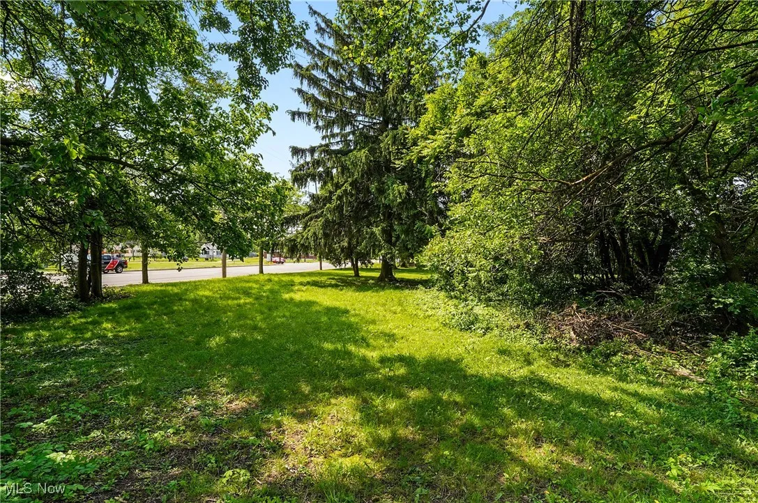 View of green lawn