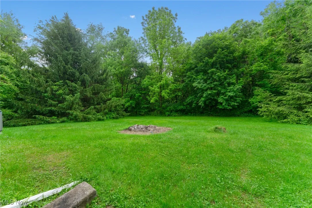 View of grassy yard