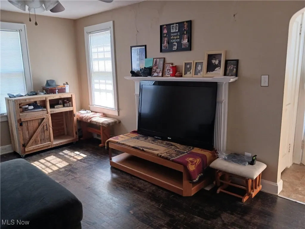 Living room with a ceiling fan and hardwood / wood-style floors