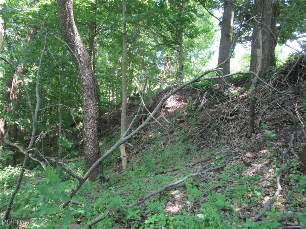 220 Daniels Avenue, Conneaut, Ohio,MLS Now Listing ID