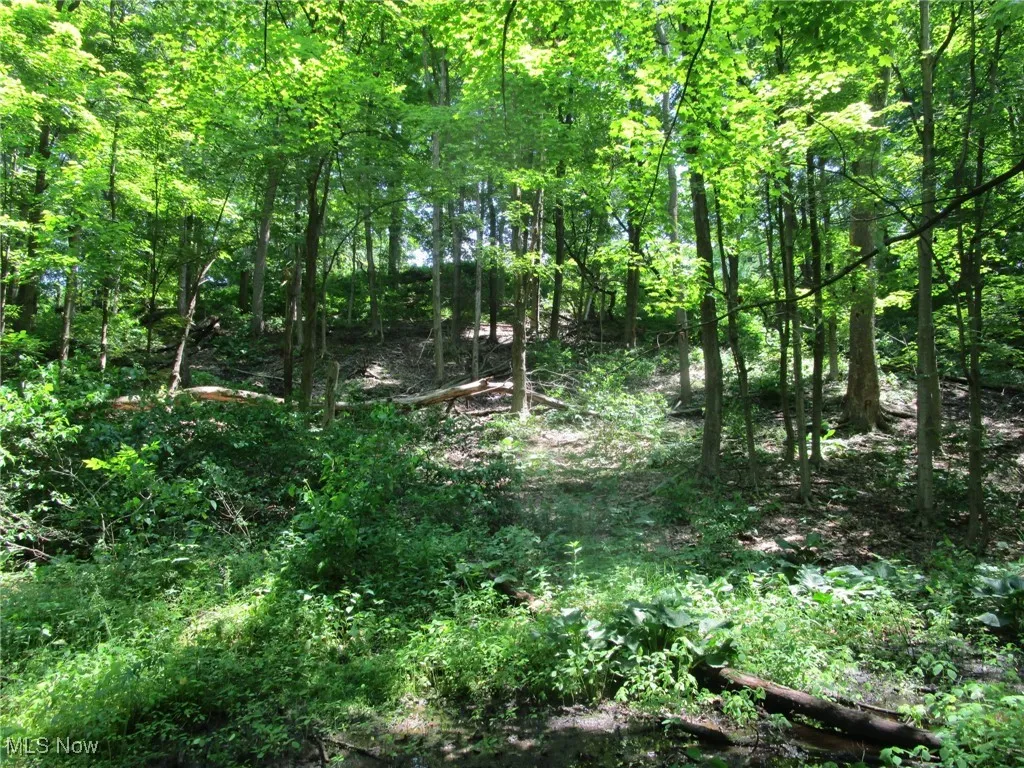 220 Daniels Avenue, Conneaut, Ohio,MLS Now Listing ID
