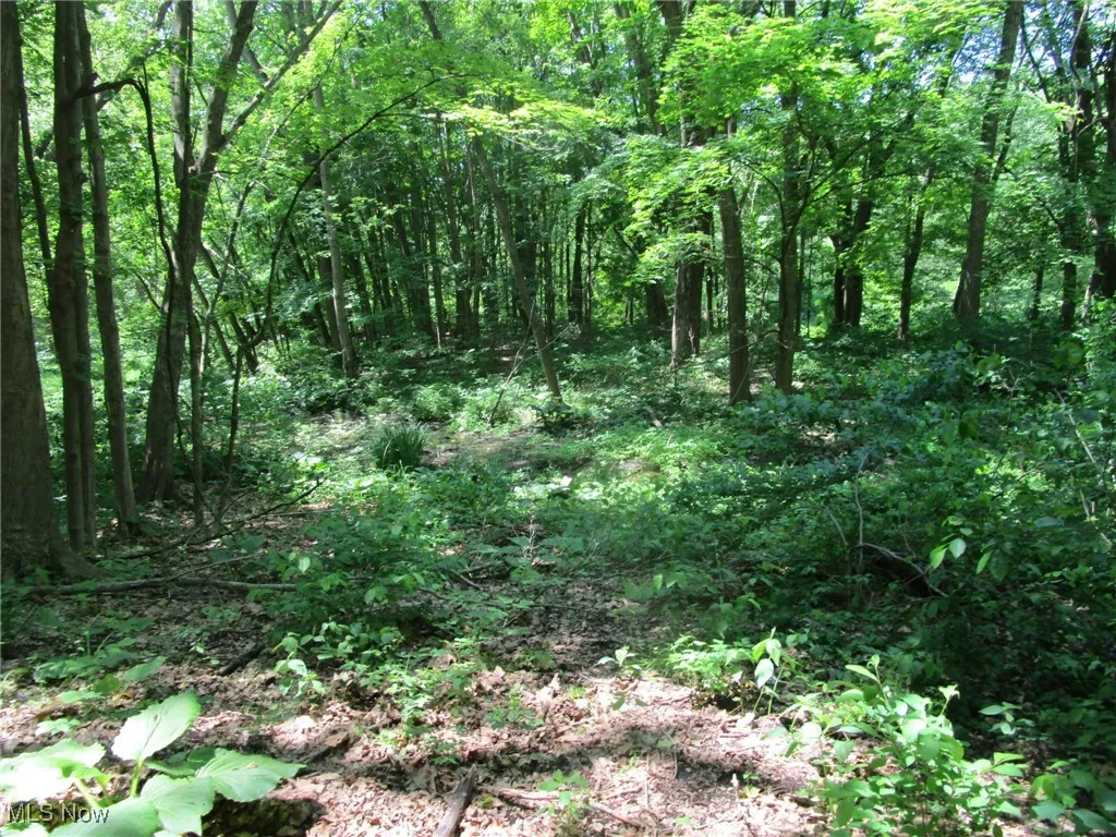 220 Daniels Avenue, Conneaut, Ohio,MLS Now Listing ID