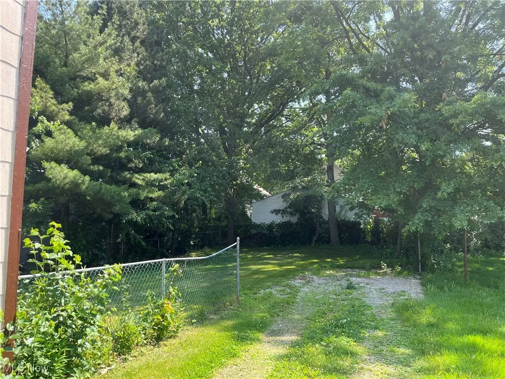 View of back yard