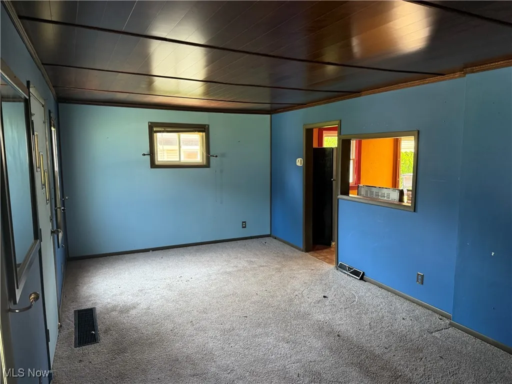 Spare room with carpet and wooden ceiling