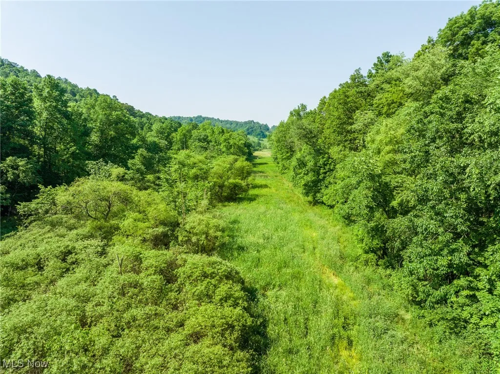 View of woods