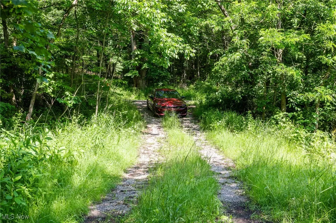 View of undeveloped land