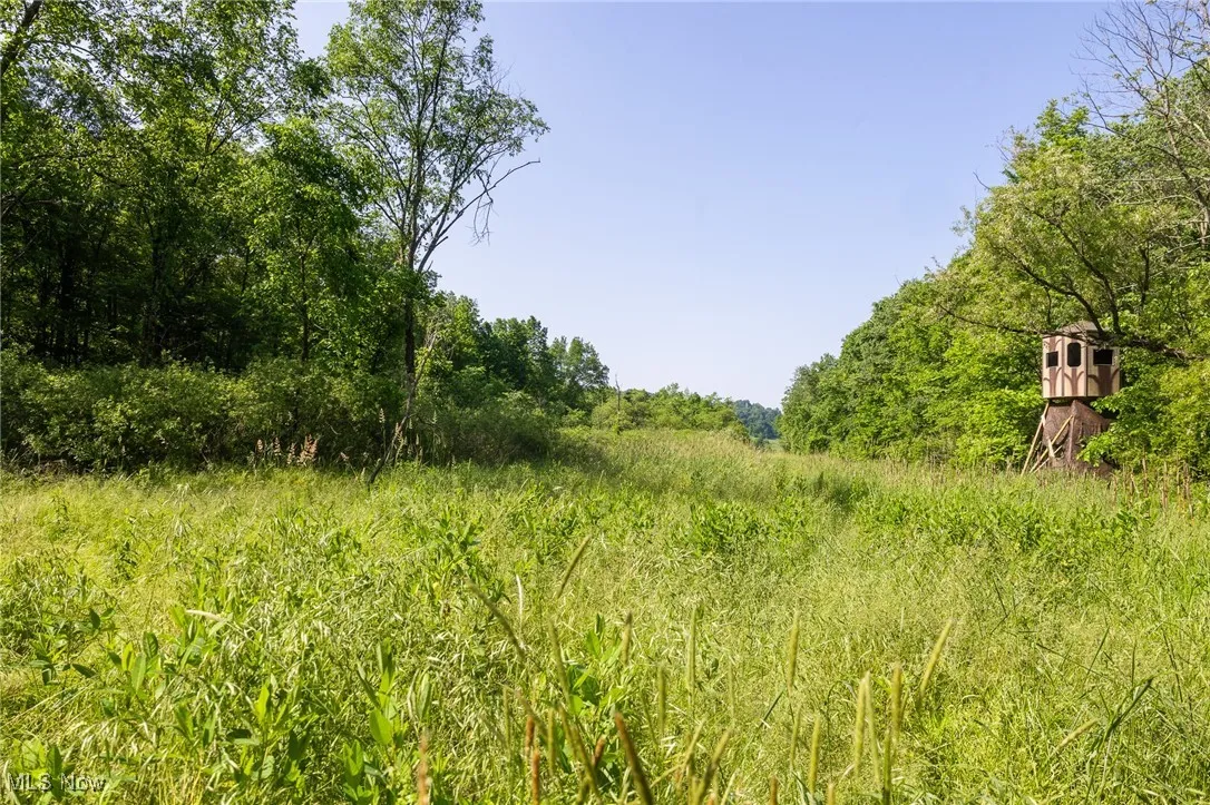 View of nature