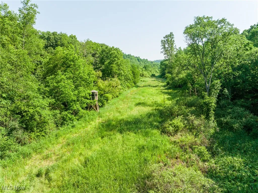 View of wooded area