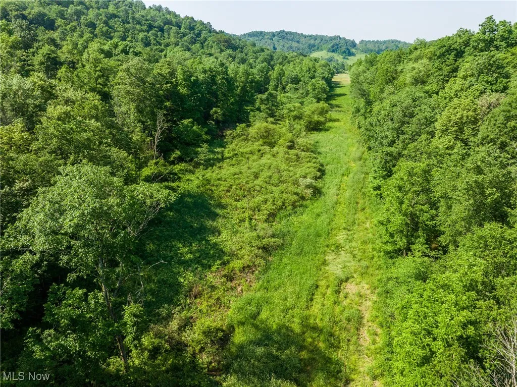 View of mountain backdrop with a forest
