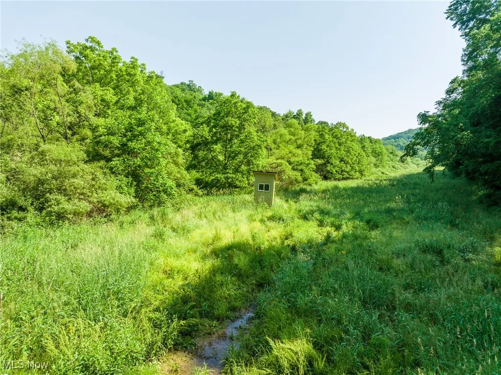 View of undeveloped land