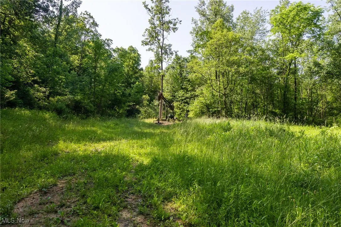 View of undeveloped land