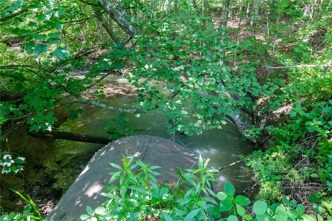 View of nature