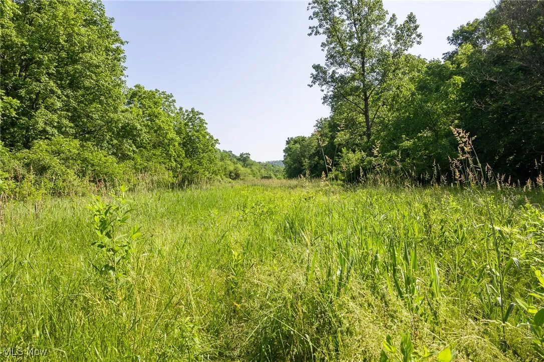 View of undeveloped land